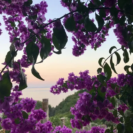 Apartment Antica Limonaia View And Pool