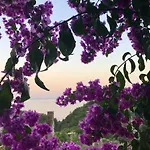 Апартаменты Antica Limonaia View And Pool