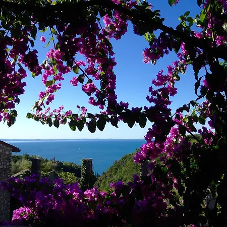 Antica Limonaia View And Pool Апартаменты *