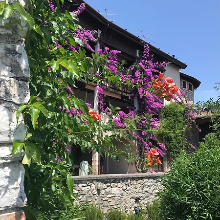Antica Limonaia View And Pool Lejlighed Toscolano Maderno